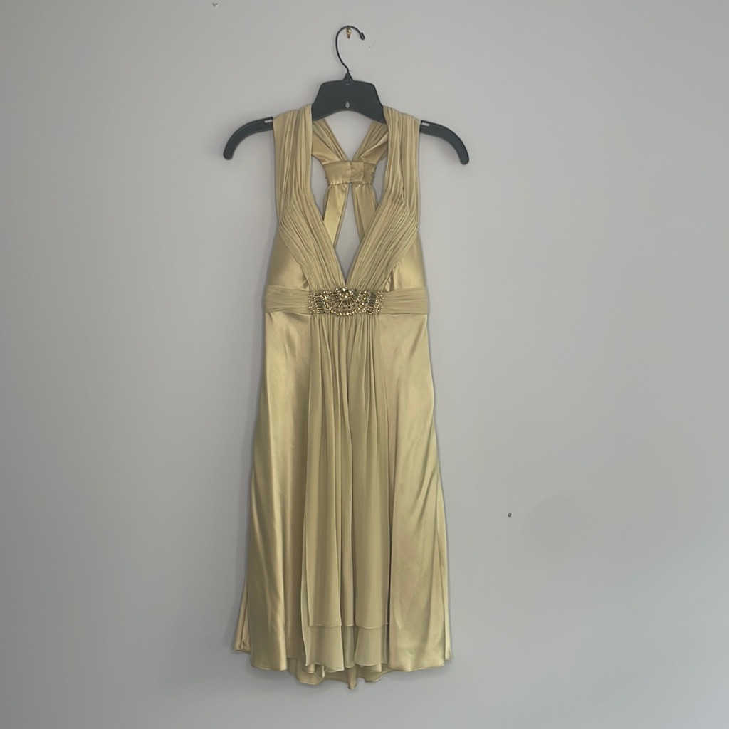 Marc Bouwer Silk Champagne Dress